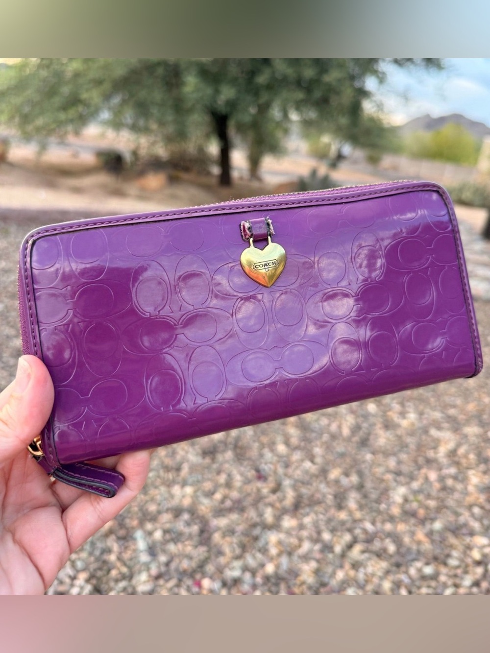 Coach Poppy Full Zip Wallet